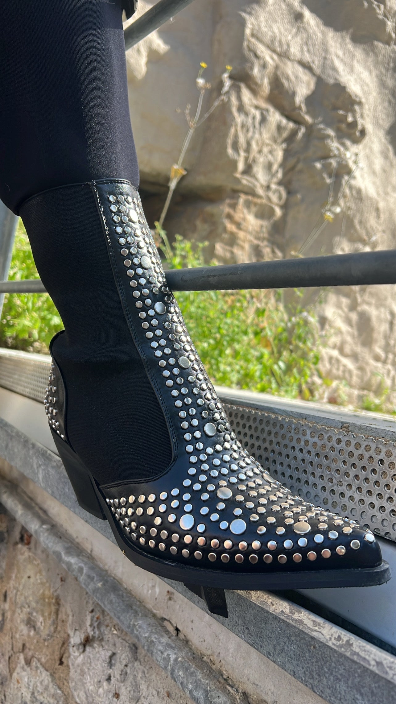 Stiefel Collie