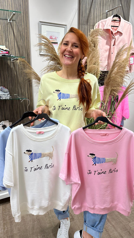 Sweat CHIEN (4 Farben)